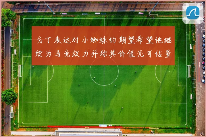 戈丁表达对小蜘蛛的期望希望他继续为马竞效力并称其价值无可估量