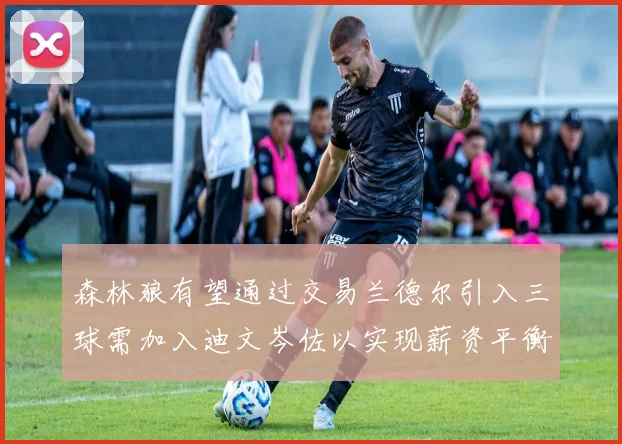 森林狼有望通过交易兰德尔引入三球需加入迪文岑佐以实现薪资平衡